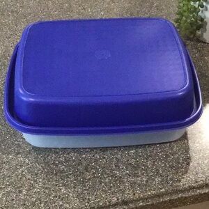 Tupperware Marinator